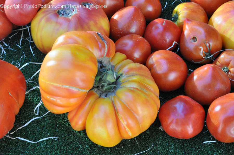 Plant, Food, Vegetable, Tomato, Produce