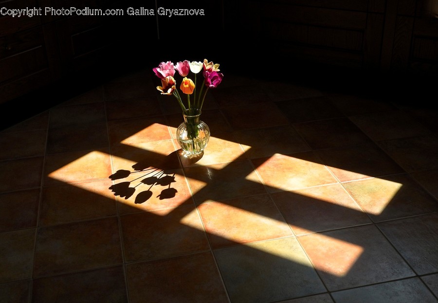 Flooring, Plant, Flower Bouquet, Flower Arrangement, Blossom