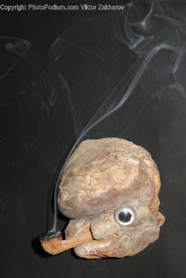 Animal, Sea Life, Smoke, Accessories, Accessory