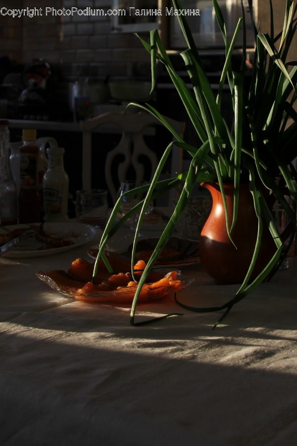 Plant, Food, Sea Life, Lobster, Animal