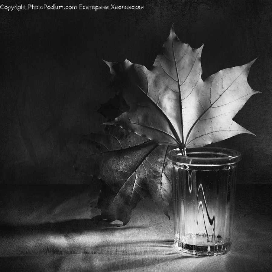 Leaf, Plant, Painting, Art, Tree
