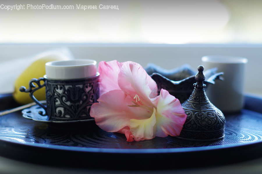 Plant, Saucer, Pottery, Blossom, Flower