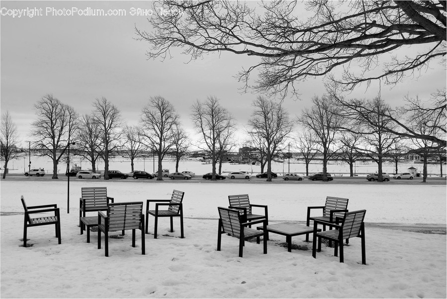 Furniture, Chair, Nature, Outdoors, Plant