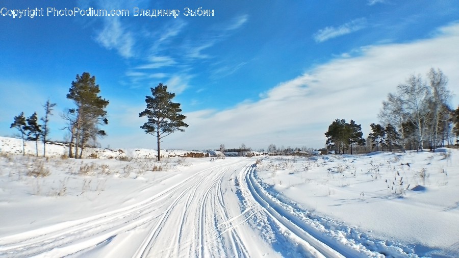 Nature, Outdoors, Tree, Plant, Snow