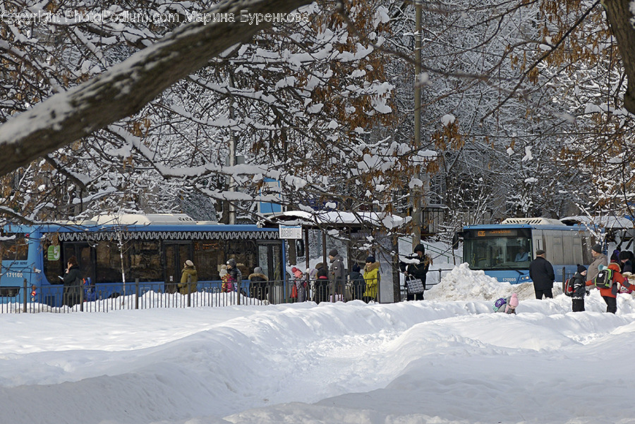 Nature, Outdoors, Human, Person, Snow