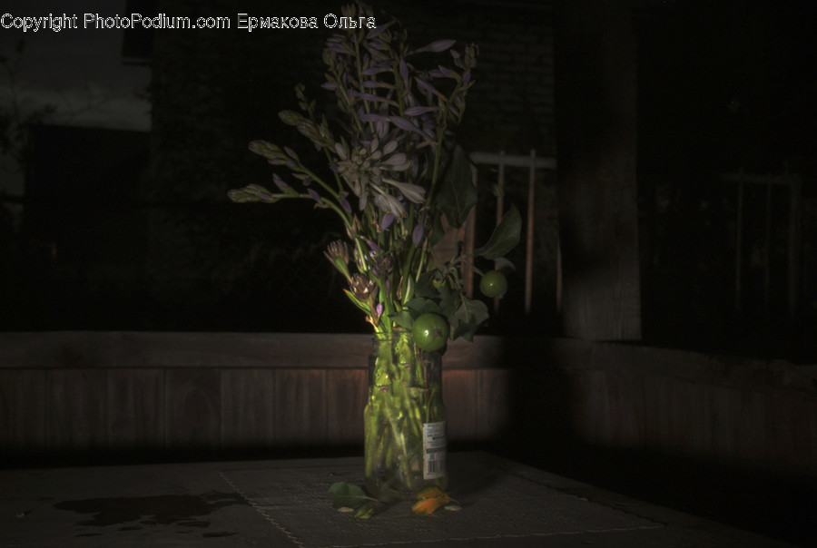 Plant, Flower, Blossom, Vase, Jar