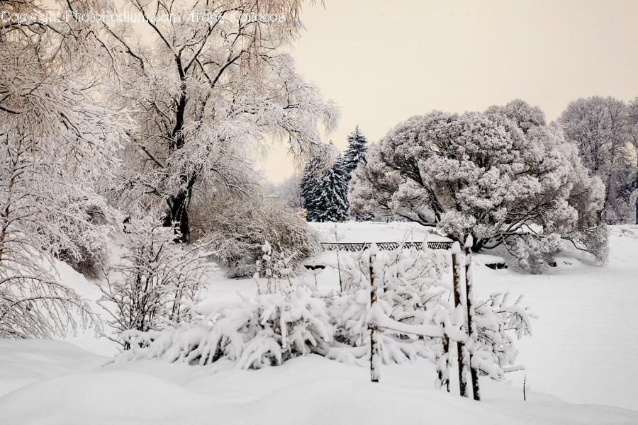 Nature, Outdoors, Ice, Snow, Frost