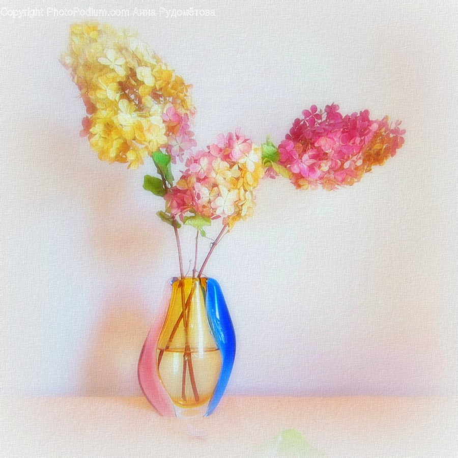Plant, Art, Blossom, Flower, Flower Arrangement
