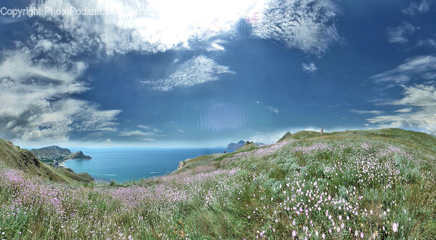 Nature, Outdoors, Grassland, Field, Slope