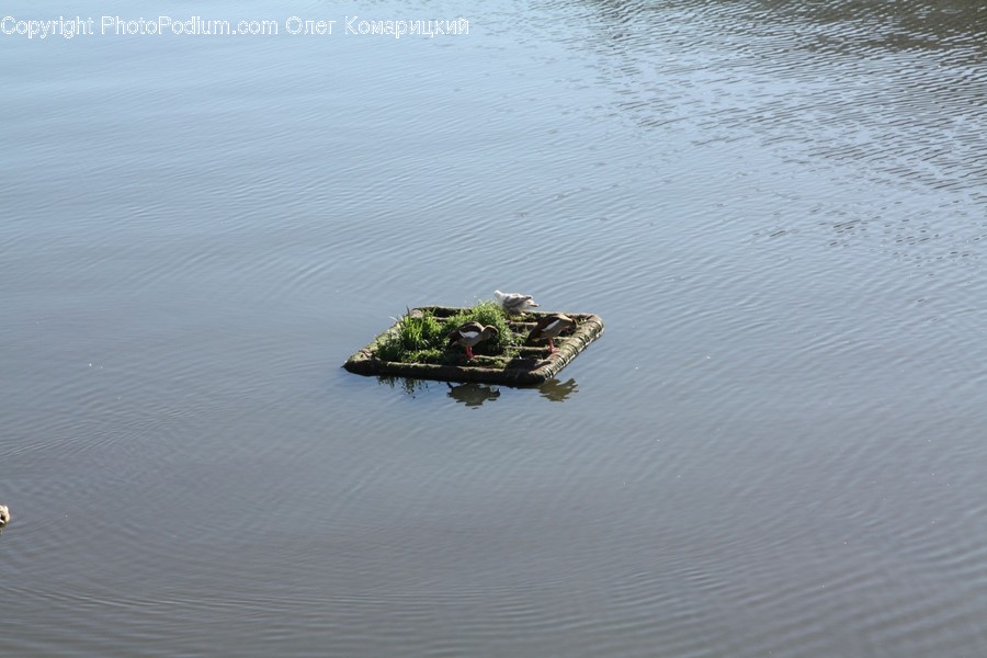 Outdoors, Nature, Land, Water, Sea