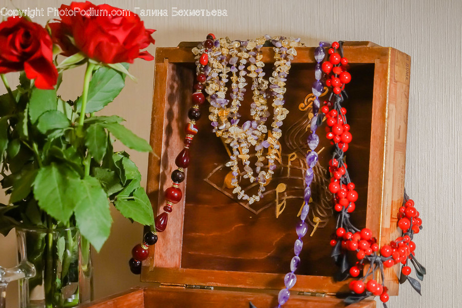 Plant, Jewelry, Accessories, Necklace, Accessory
