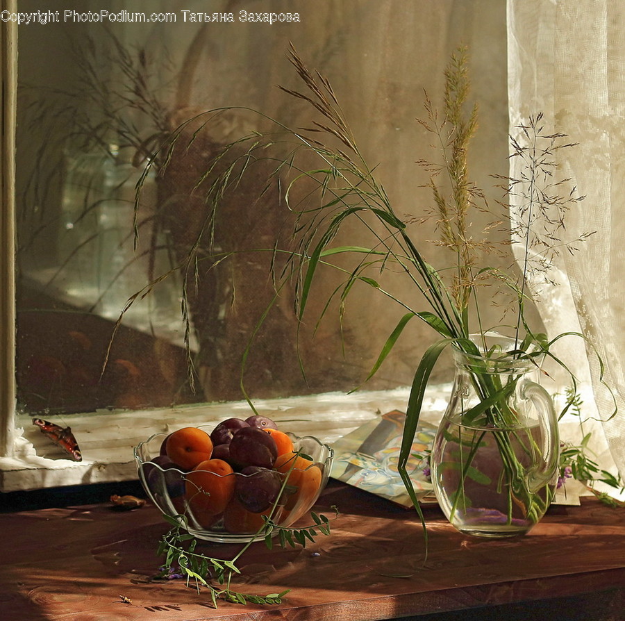 Plant, Flower Arrangement, Art, Ornament, Blossom