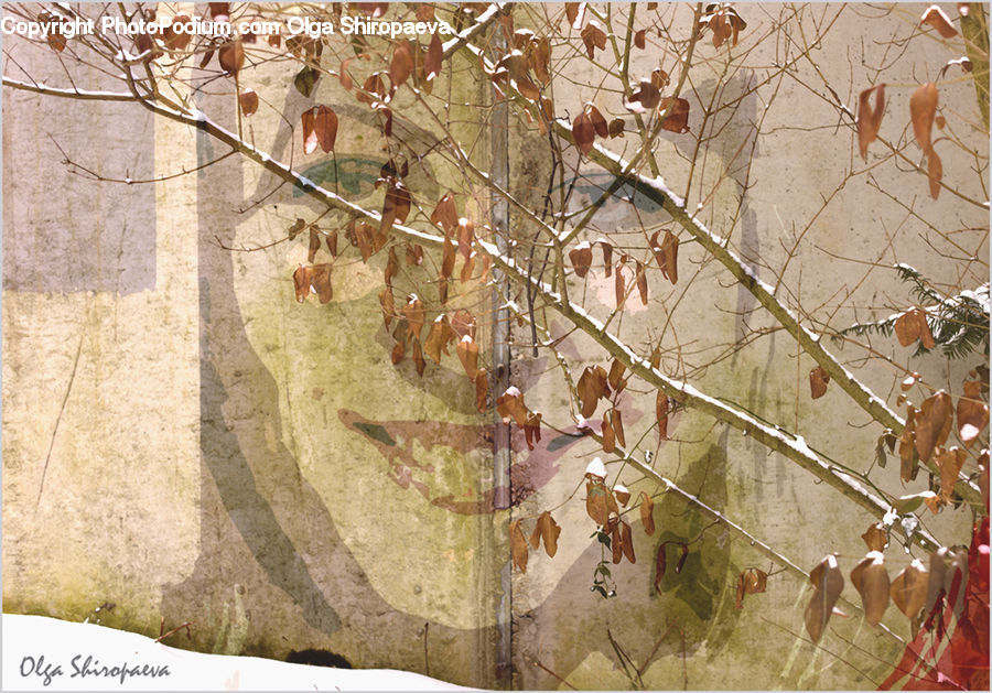 Plant, Potted Plant, Map, Art, Modern Art, Flagstone, Bird