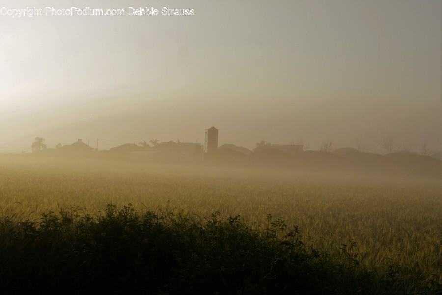 Weather, Nature, Outdoors, Mist, Fog