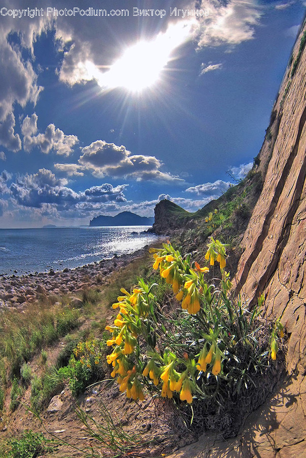 Outdoors, Nature, Plant, Promontory, Light