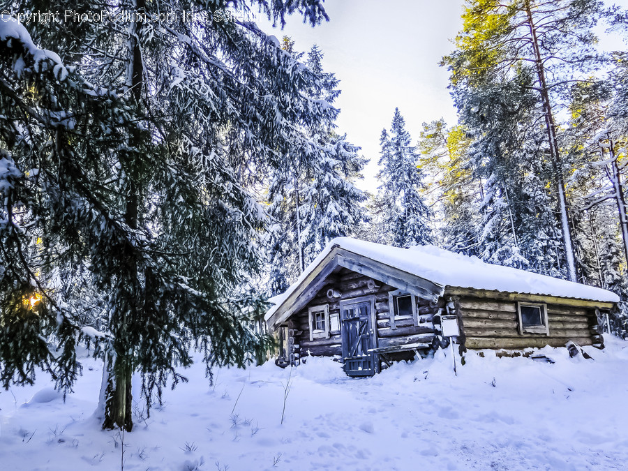 Housing, Building, Nature, Outdoors, House
