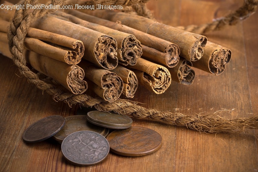 Wood, Money, Coin, Snake, Animal