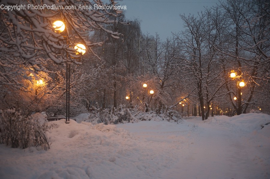 Nature, Outdoors, Blizzard, Snow, Storm