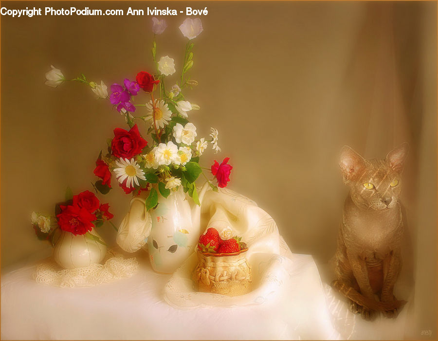 Birthday Cake, Cake, Dessert, Food, Gecko, Lizard, Reptile