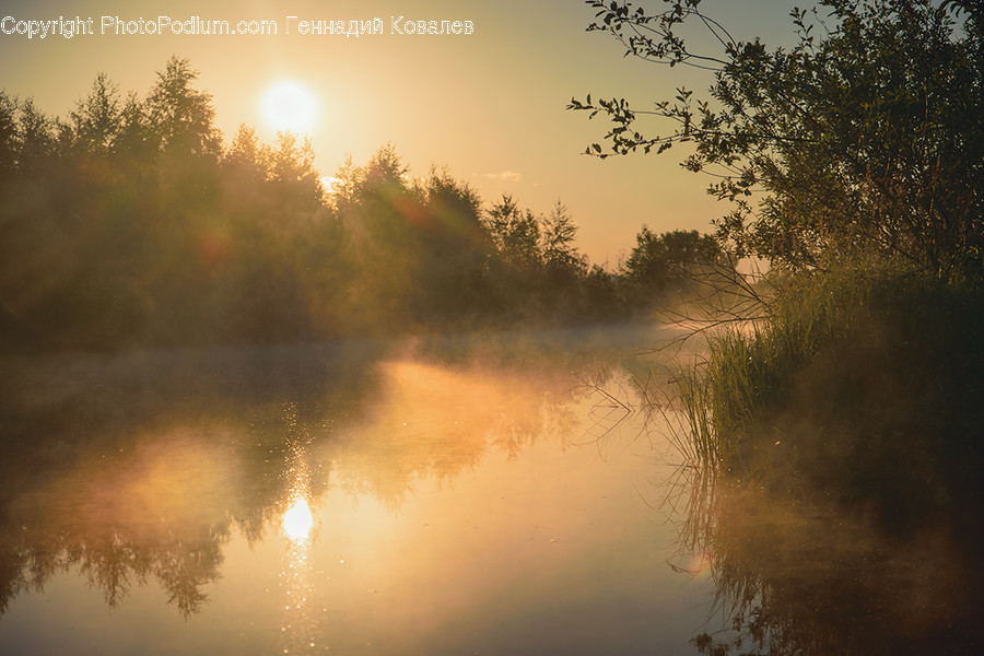 Nature, Weather, Outdoors, Fog, Mist