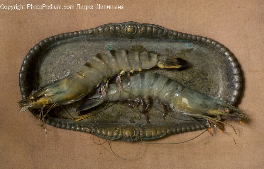 Invertebrate, Animal, Insect, Food, Seafood