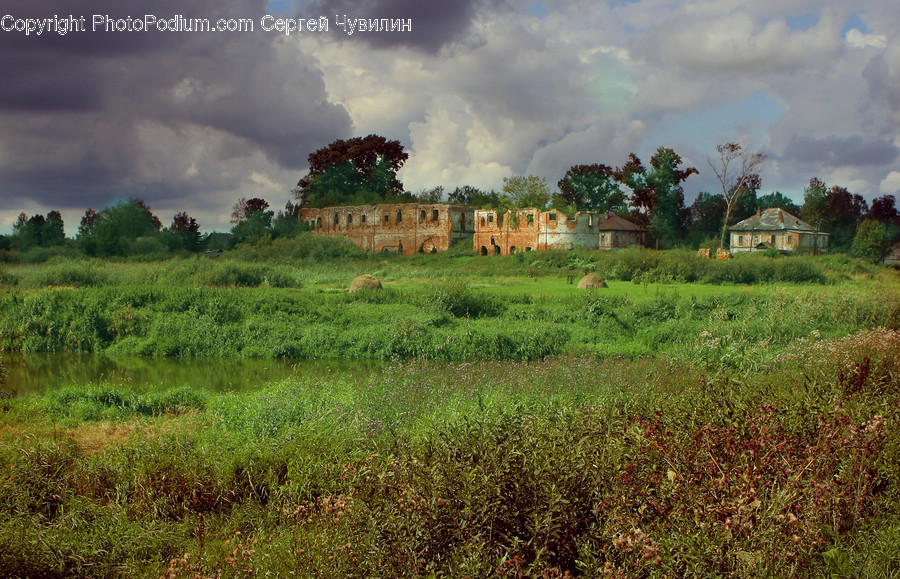 Nature, Outdoors, Grassland, Field, Countryside