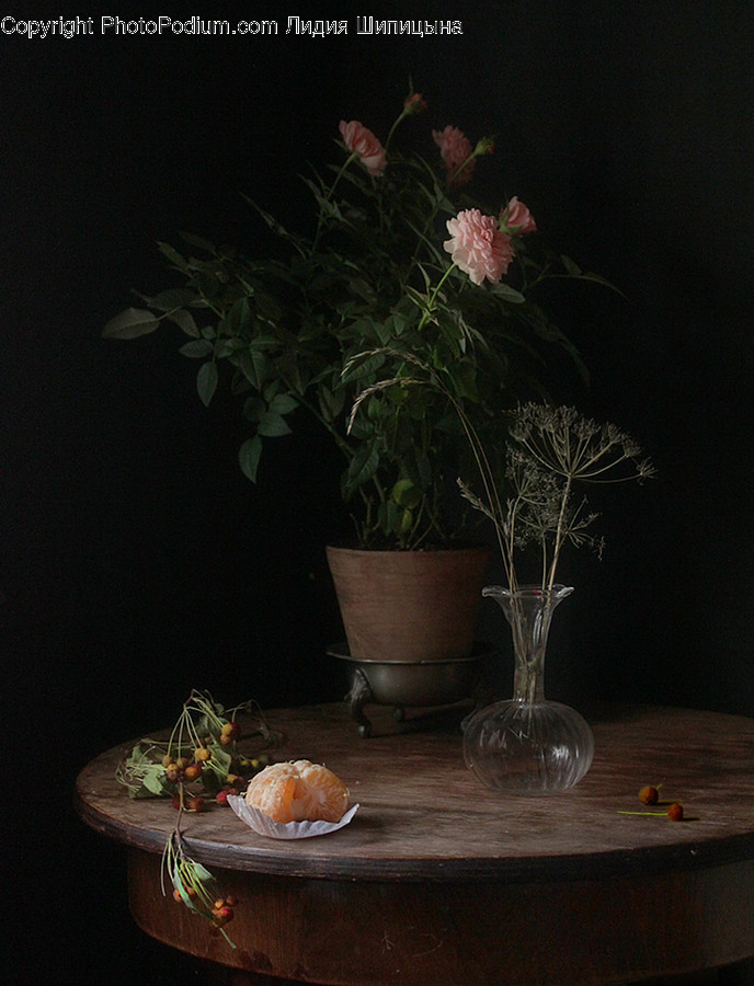 Plant, Table, Furniture, Dining Table, Meal