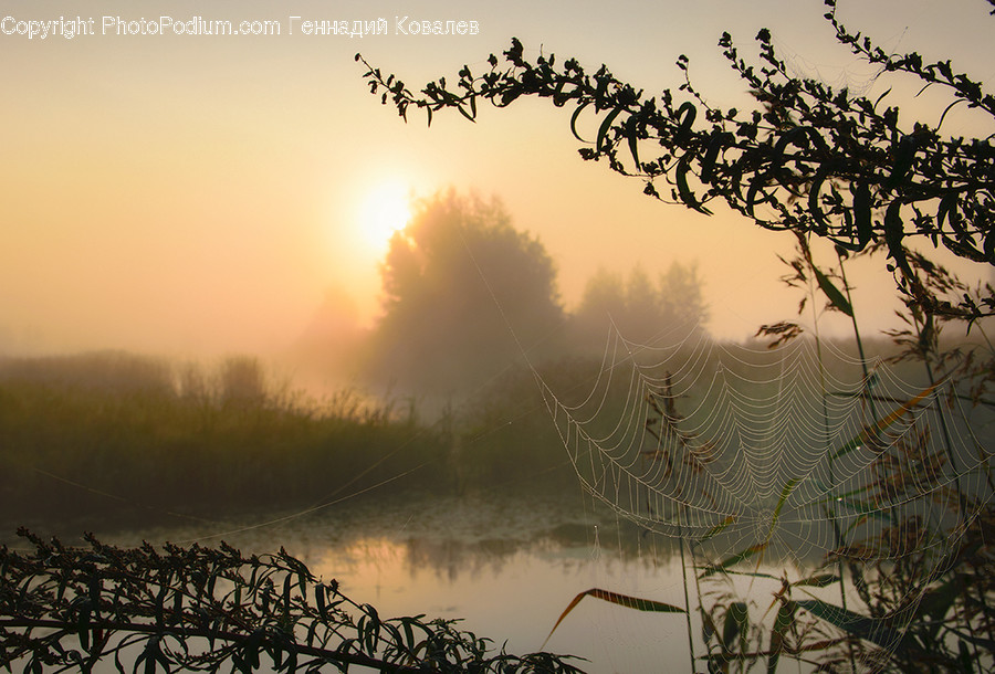 Nature, Weather, Outdoors, Fog, Mist