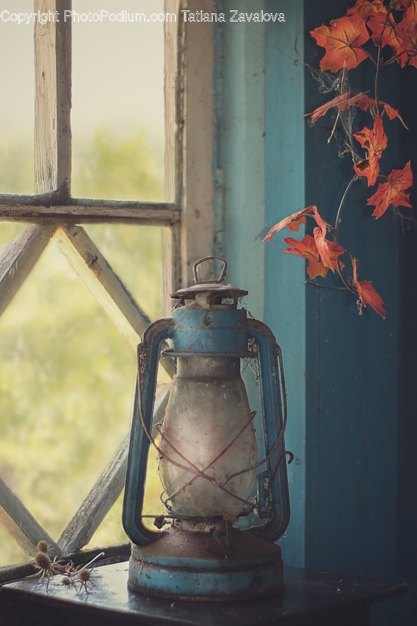 Leaf, Plant, Lantern, Lamp, Bird