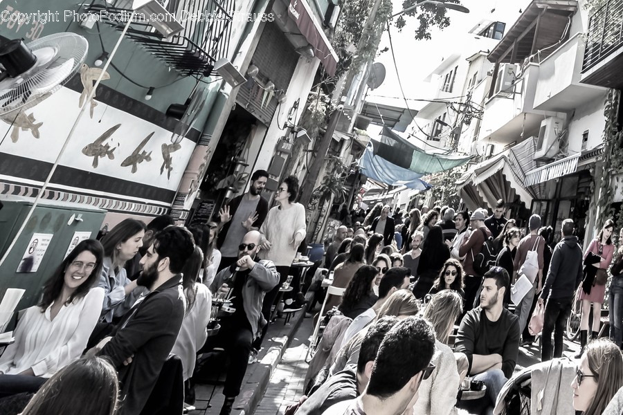 Person, Human, Pedestrian, Crowd, Vehicle