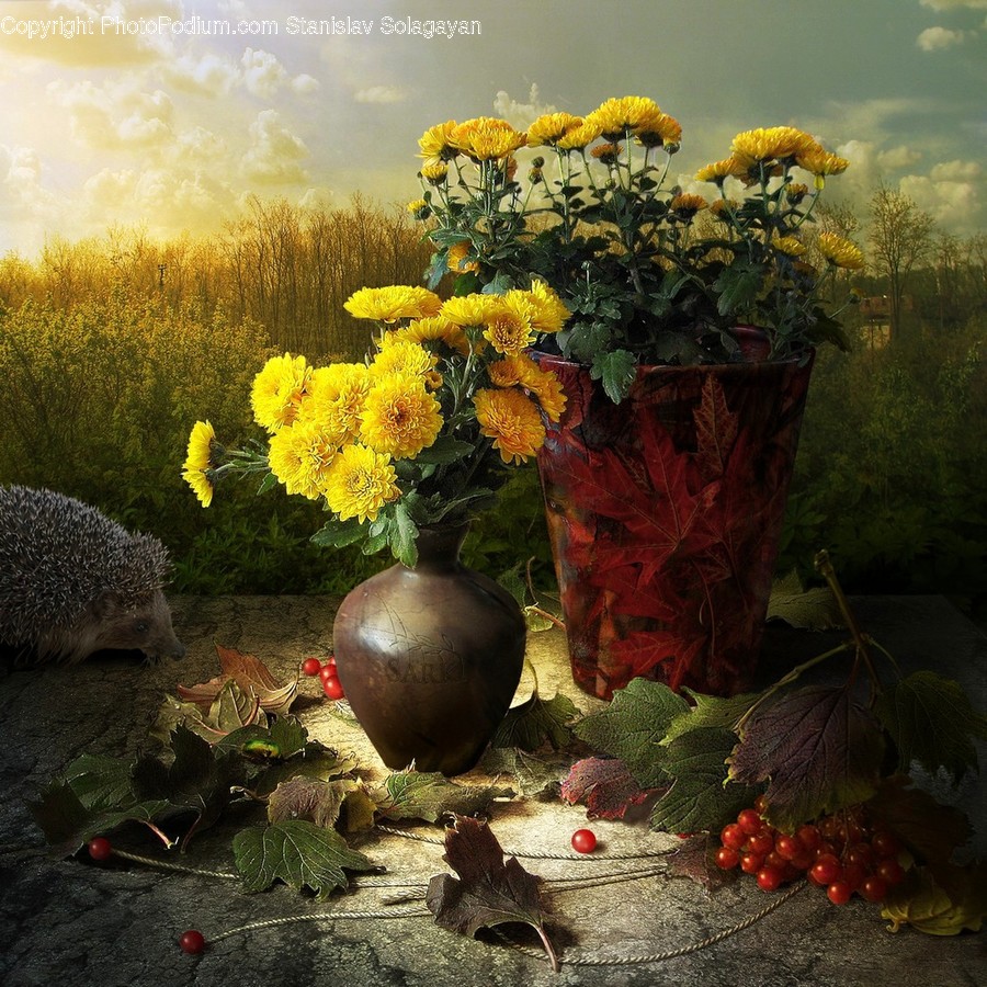 Plant, Sphere, Flower, Blossom, Painting