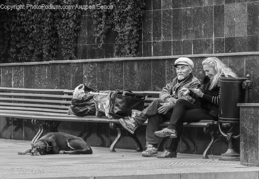 Furniture, Sitting, Person, Human, Bench