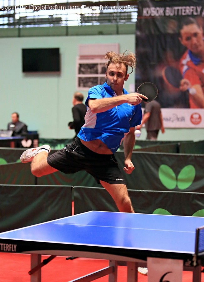 Human, Person, Sport, Sports, Ping Pong