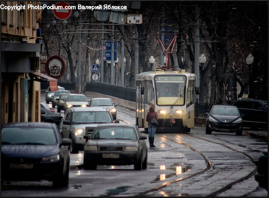 Bus, Vehicle, Rail, Streetcar, Tram, Trolley, Automobile