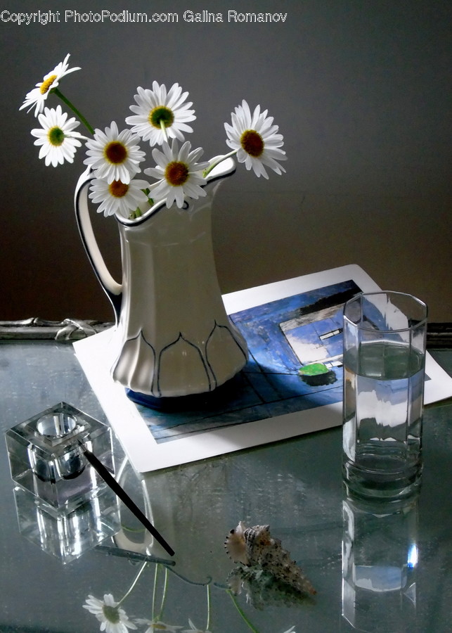Plant, Daisies, Daisy, Blossom, Flower