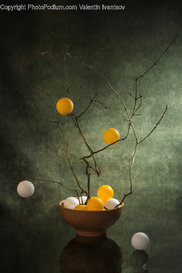 Plant, Flower Arrangement, Ikebana, Flower, Pottery