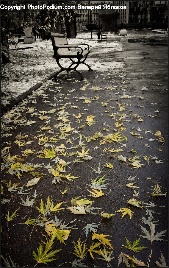 Park Bench, Bench, Cobblestone, Pavement, Walkway, Ruins, Flagstone