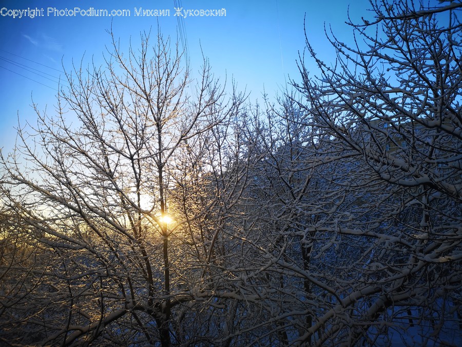 Flare, Light, Nature, Outdoors, Ice