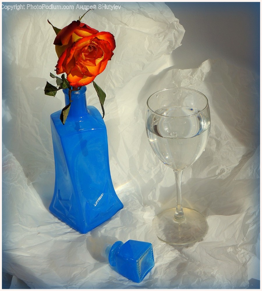 Plant, Flower, Blossom, Glass, Flower Bouquet