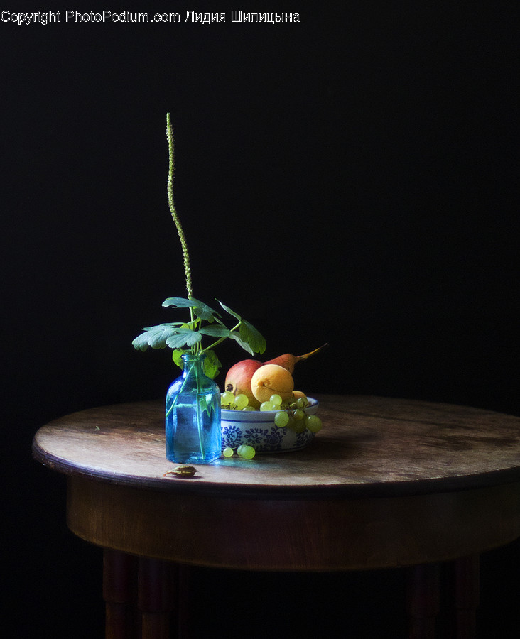 Plant, Vase, Pottery, Jar, Tabletop