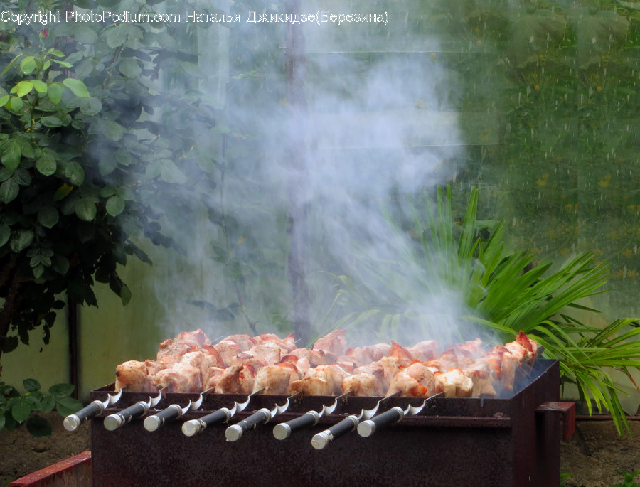 Food, Bbq