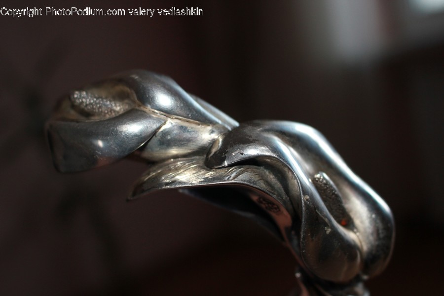 Bronze, Silver, Animal, Bird, Weapon