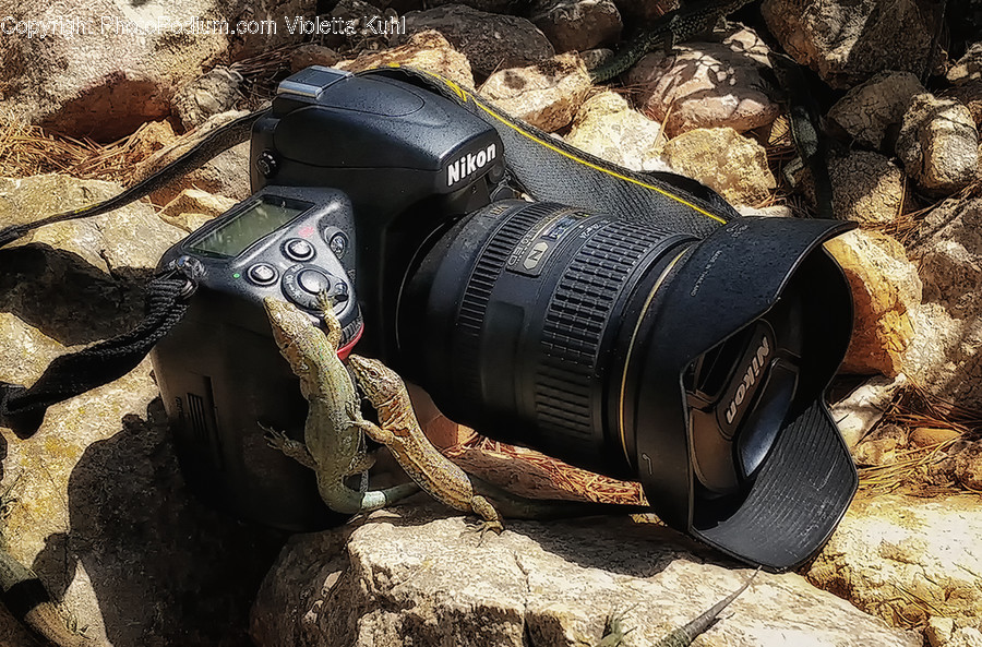 Electronics, Camera, Gun, Weapon, Weaponry