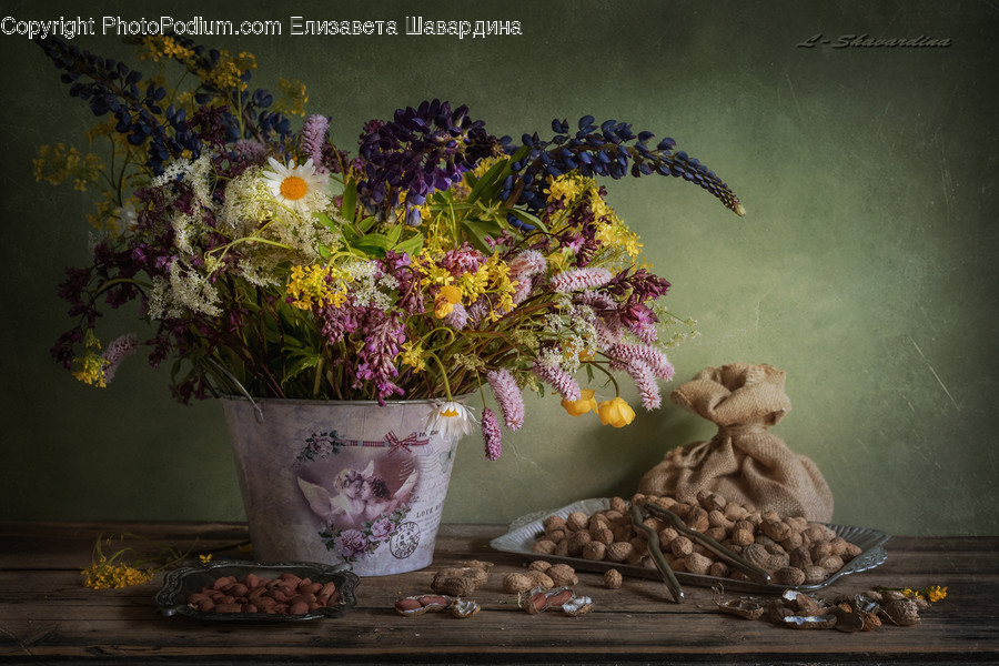 Plant, Flower, Blossom, Flower Bouquet, Flower Arrangement