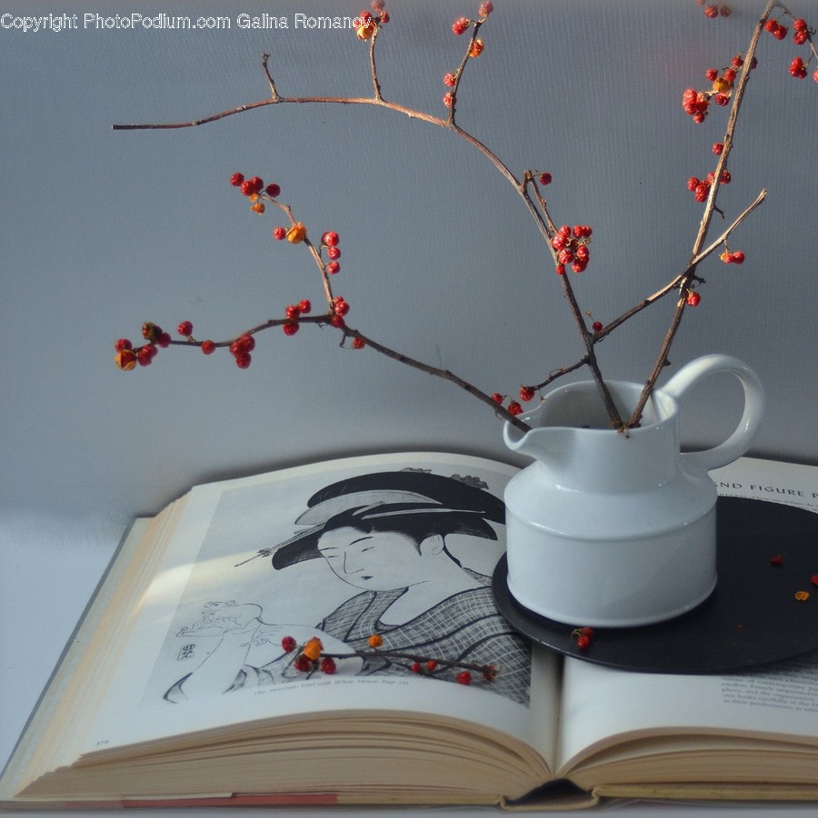 Pottery, Plant, Blossom, Ikebana, Ornament