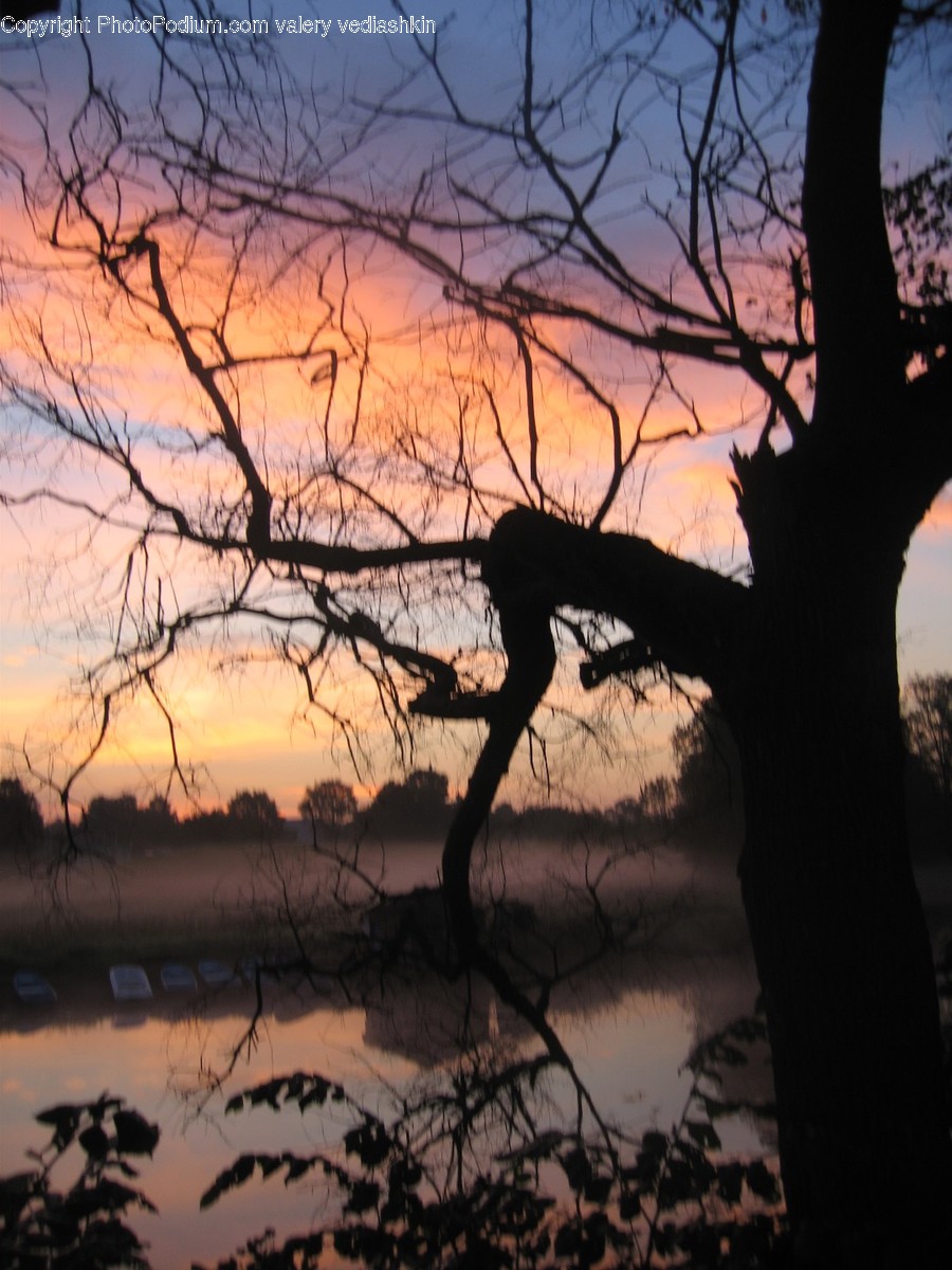 Nature, Outdoors, Land, Dusk, Dawn