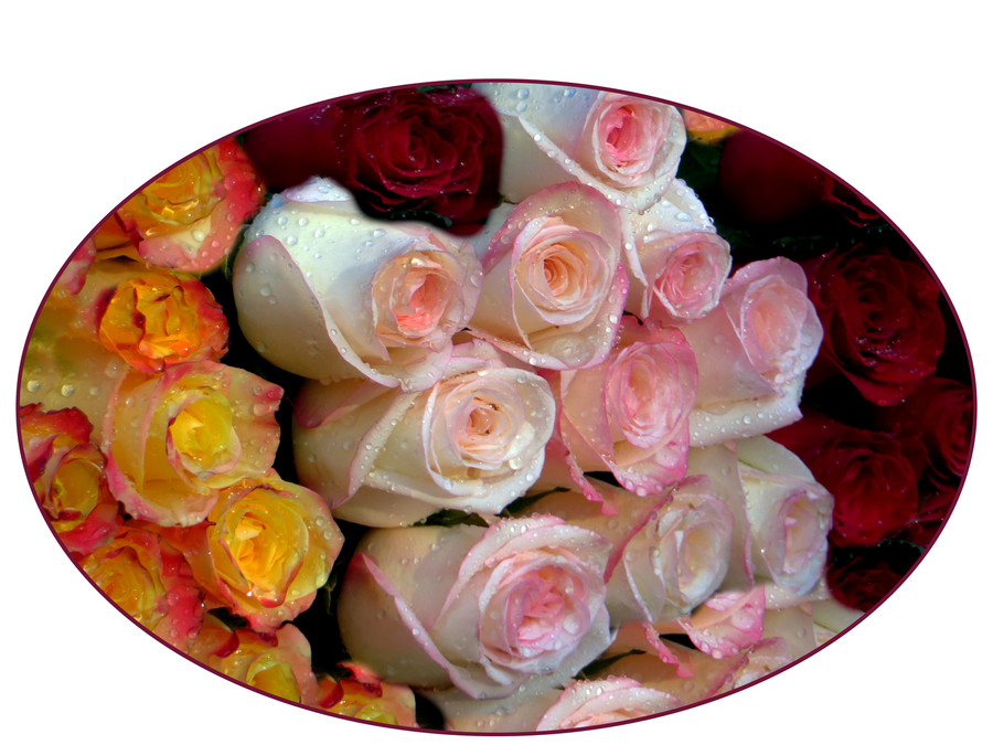 Plant, Flower, Blossom, Flower Bouquet, Flower Arrangement