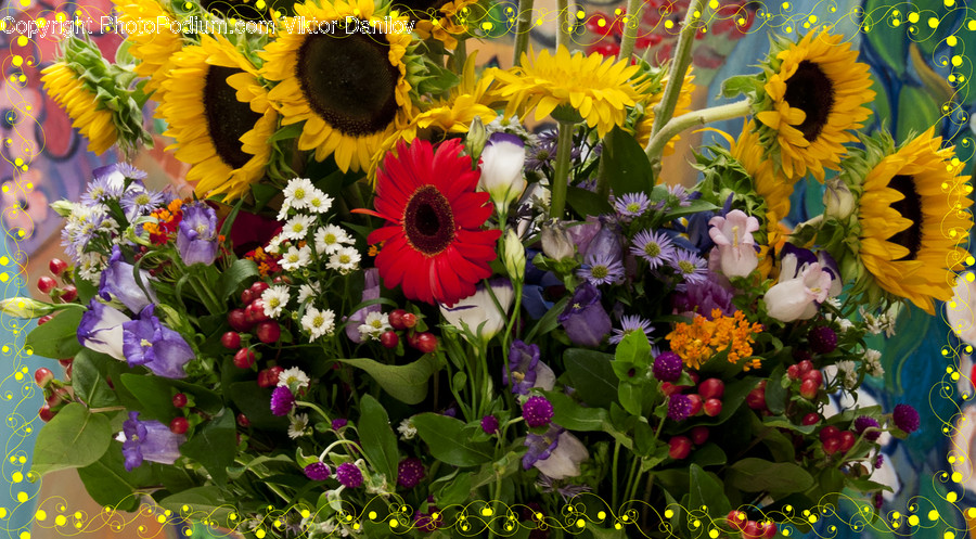 Plant, Blossom, Flower, Flower Arrangement, Flower Bouquet