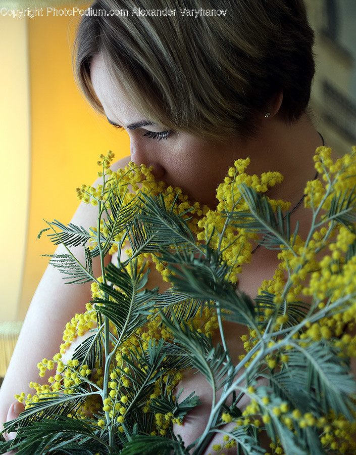 Plant, Person, Human, Flower, Blossom