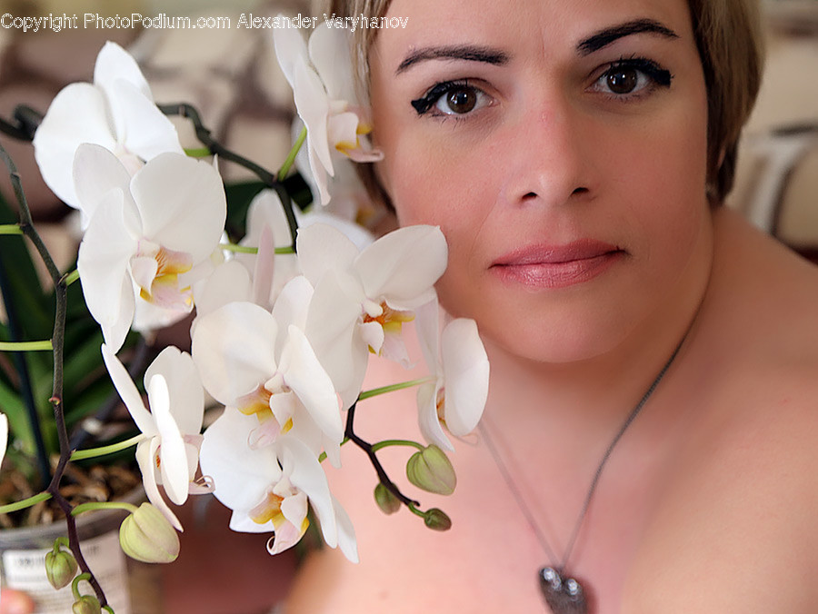 Person, Human, Plant, Blossom, Flower